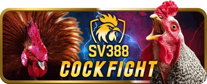 Thông báo ưu đãi dwin68